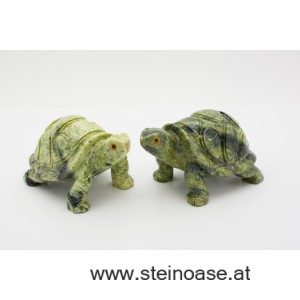 Schildkröte Serpentin Gr.L